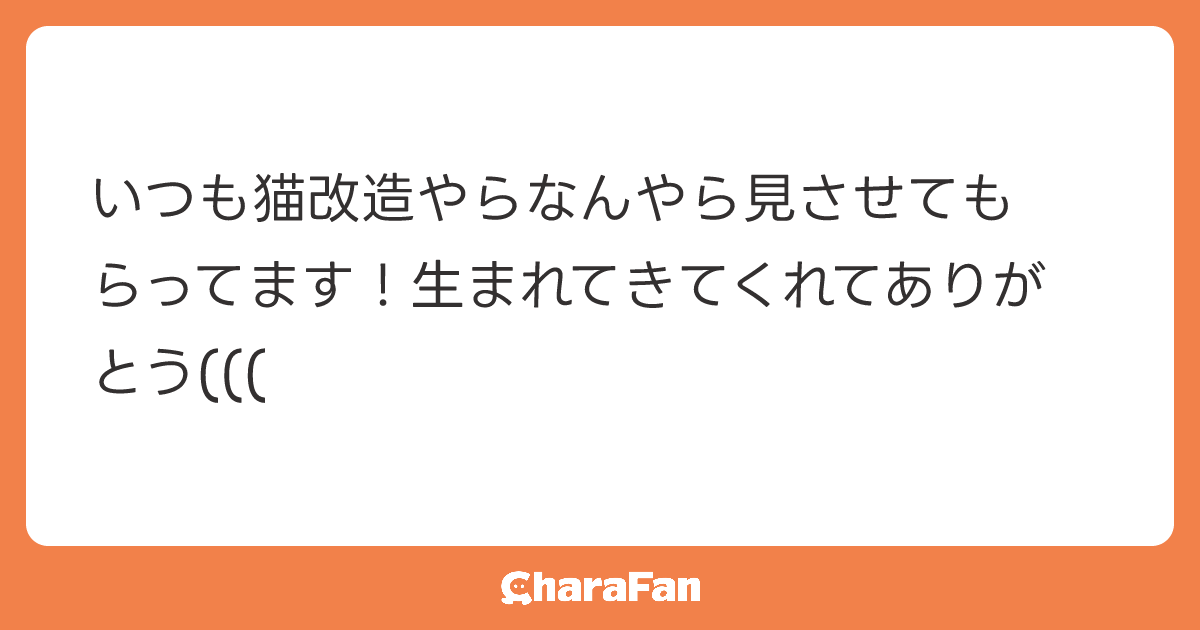 いつも猫改造やらなんやら見させてもらってます！生まれてきてくれてありがとう(((